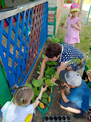 Давайте дошколята природу охранять! Давайте дошколята природу охранять!.