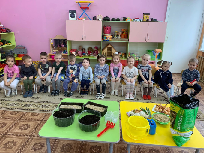 Огород на окне в группе "Ромашка" Огород на окне в группе "Ромашка".